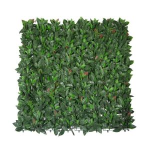 Seto decorativo Photinia