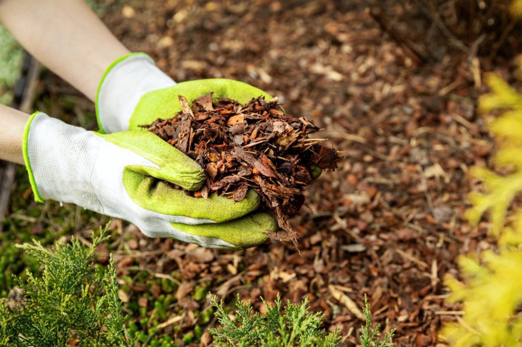 Acolchados mulching Bruc Jardí