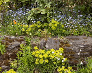 jardín natural 3