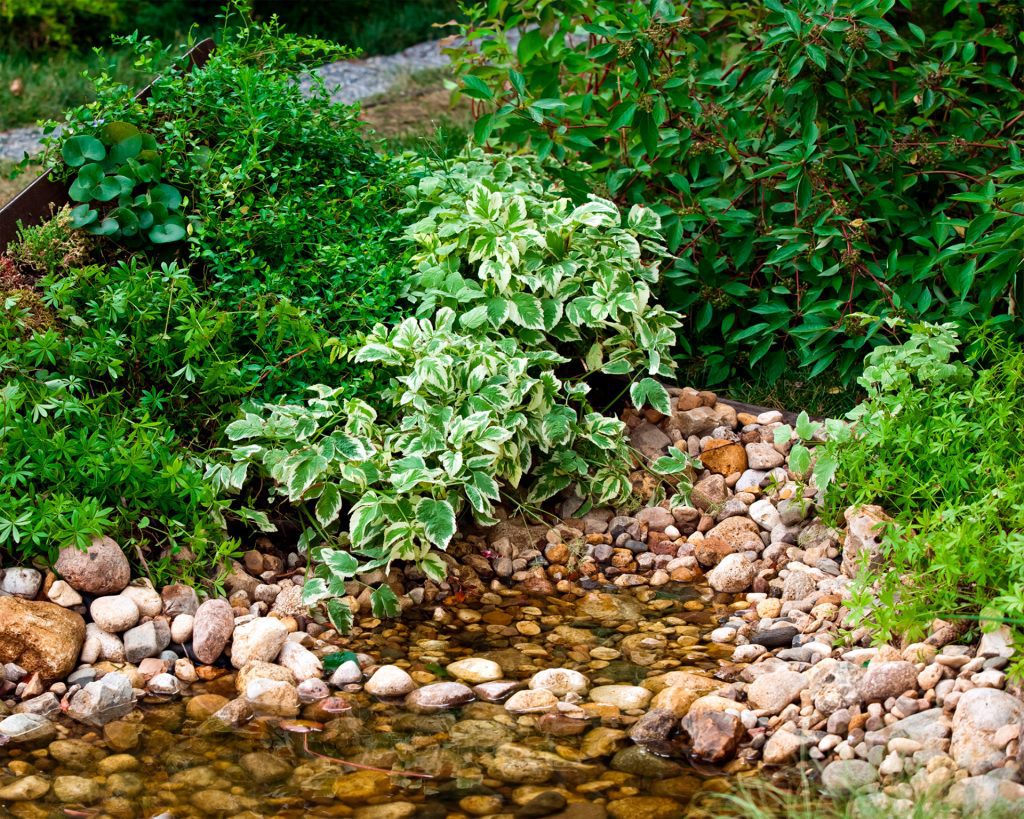 bolos de rio en jardin